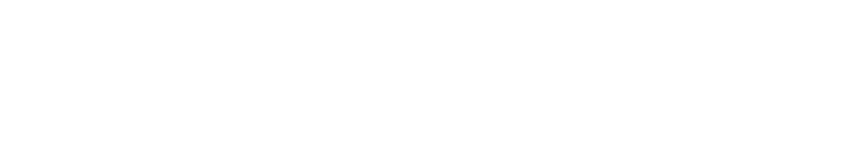 Rodney Village Authority