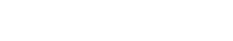 Fenwick Island Authority