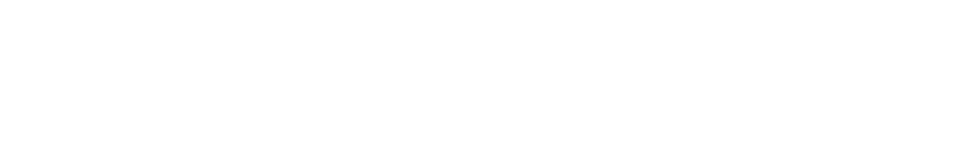 Slaughter Beach Authority
